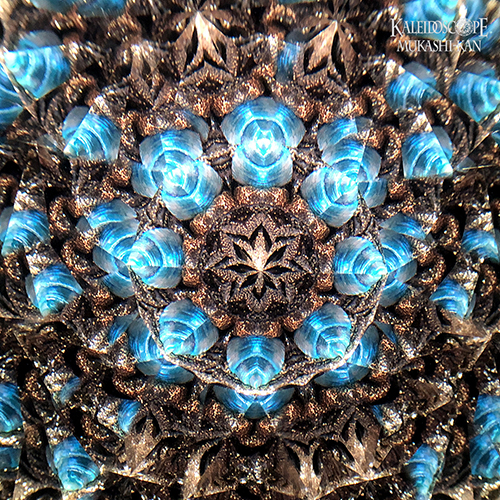 万華鏡：ホイール]ディスク・オルゴールスコープ：若林寛［送料無料］