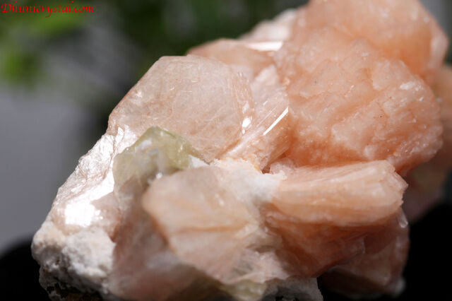 ピンクスティルバイト＆グリーンアポフィライト(D732)