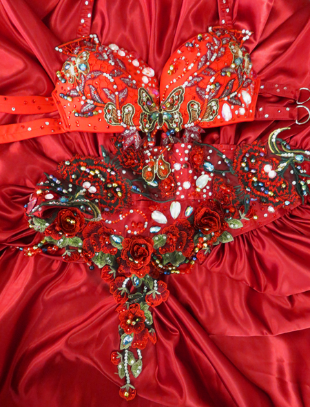 ベリーダンス衣装】真紅の花の中で舞い踊る蝶♡エレガントで