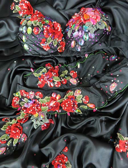 ベリーダンス衣装】暗い宇宙に咲き誇る花のよう！漆黒に赤の刺繍が