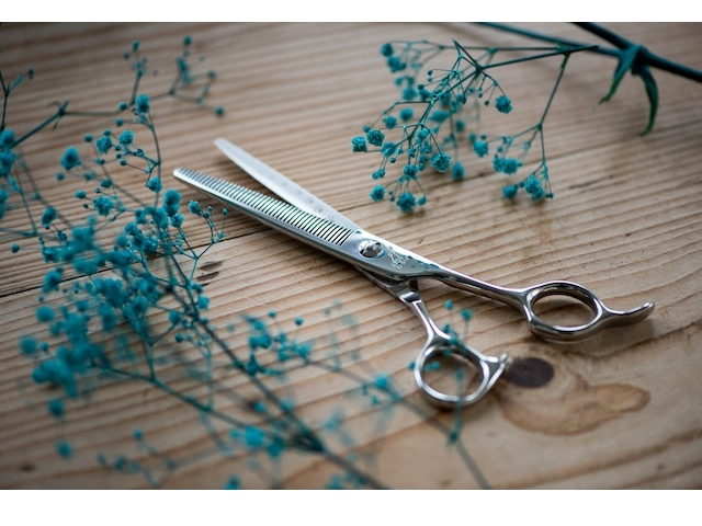 トリマー用セニング「30%～」人気ランキング – 鋏研ぎ師によるハサミの