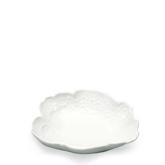 バロックホワイト] シェルディッシュ