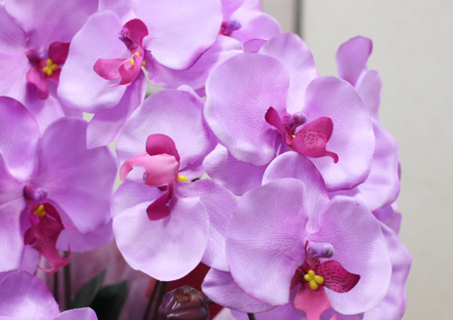 光触媒 光の楽園胡蝶蘭ラベンダー（5本立）【アートフラワー 造花