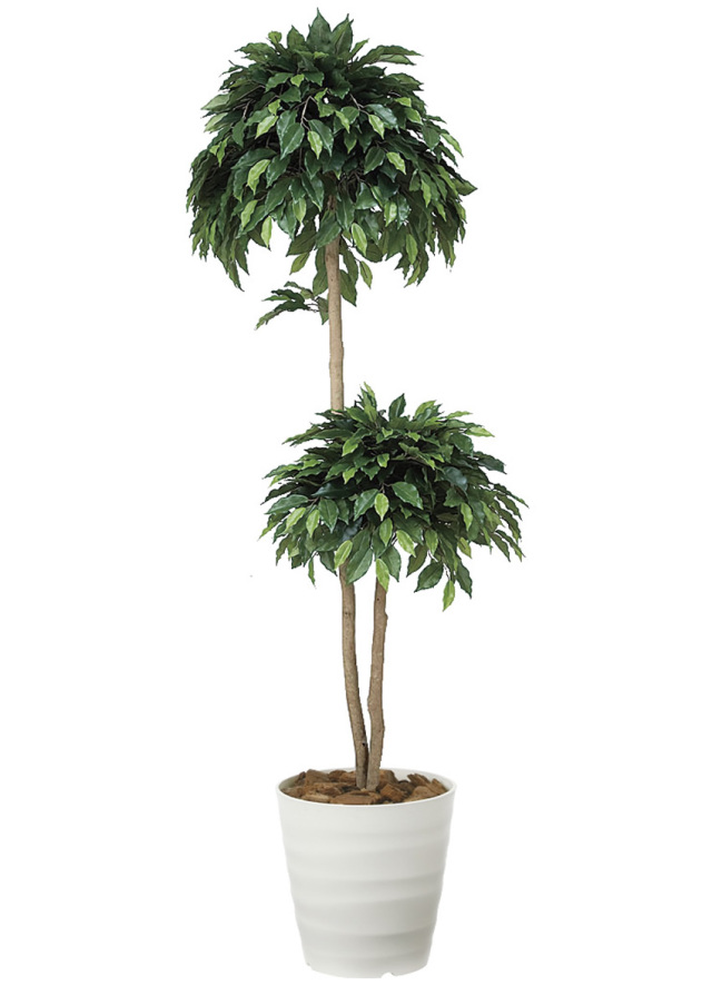 光触媒 光の楽園マウンテンアッシュ（下草付）1.3m【インテリア