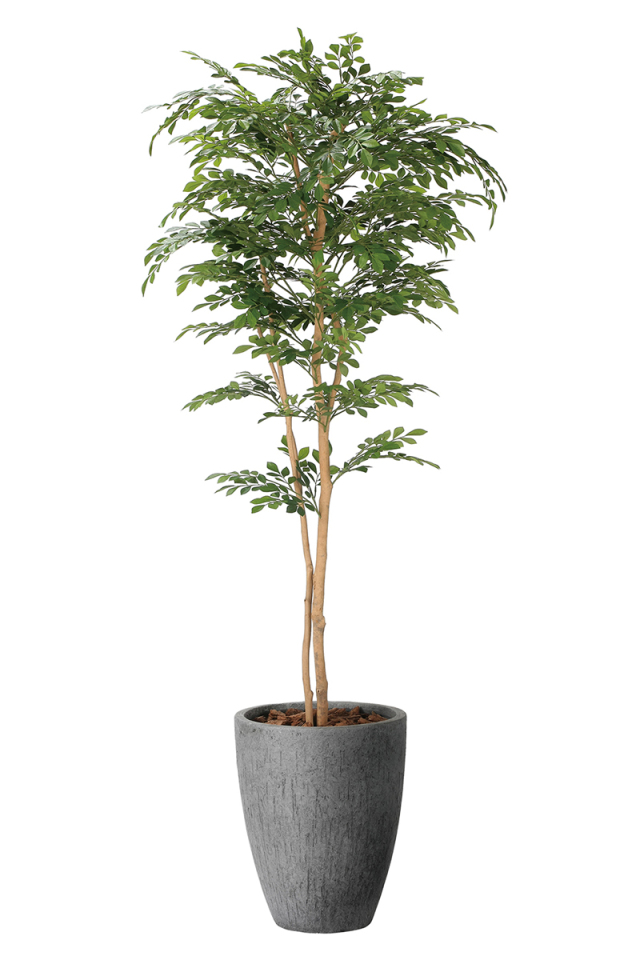 光触媒 光の楽園マウンテンアッシュ 高さ 1.6m【インテリア フェイク