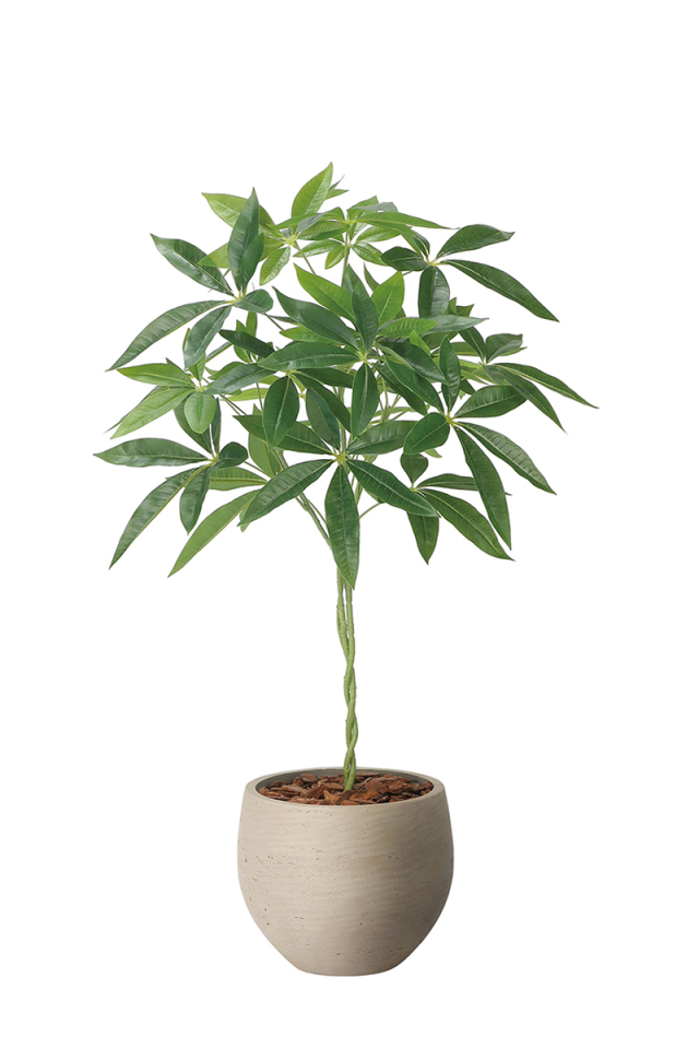 光触媒 光の楽園 オリーブ90【インテリア フェイクグリーン 人工観葉