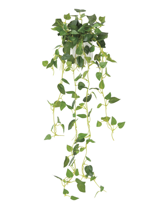 光触媒 光の楽園 壁掛けフィロ【インテリアグリーン 人工観葉植物