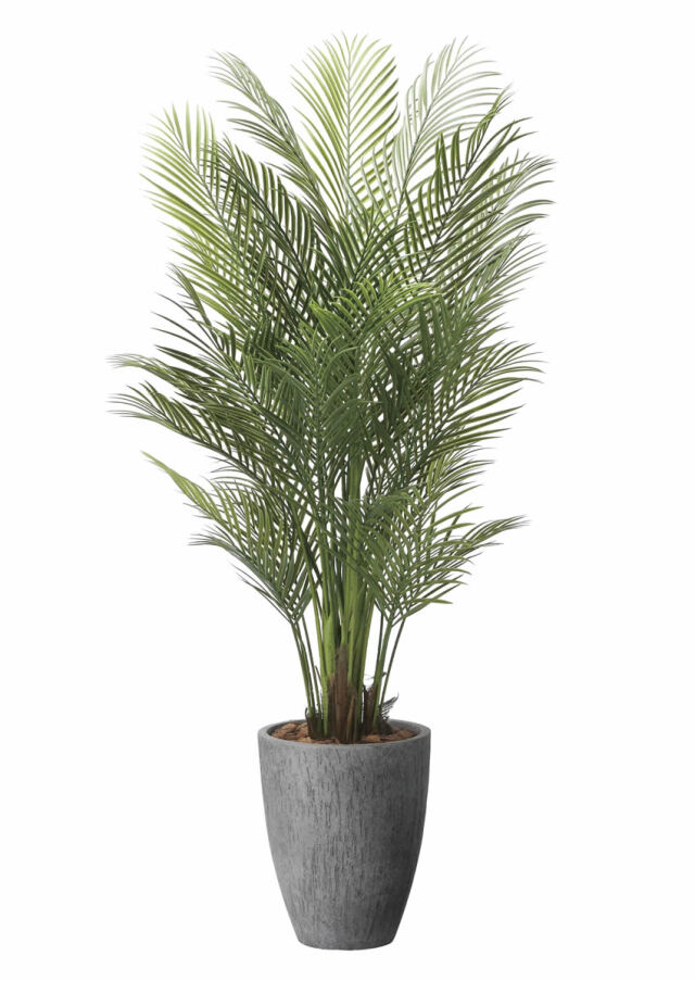 光触媒 光の楽園ナチュラルベンジャミン 1.8m【インテリア フェイク