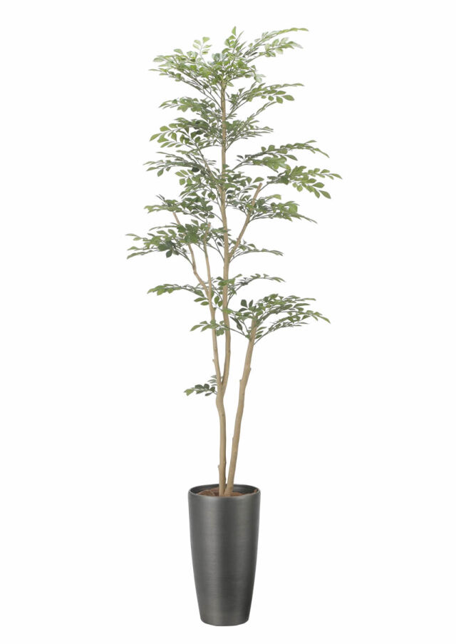 光触媒 光の楽園 ベンジャミン 高さ 1.8m【インテリア フェイク