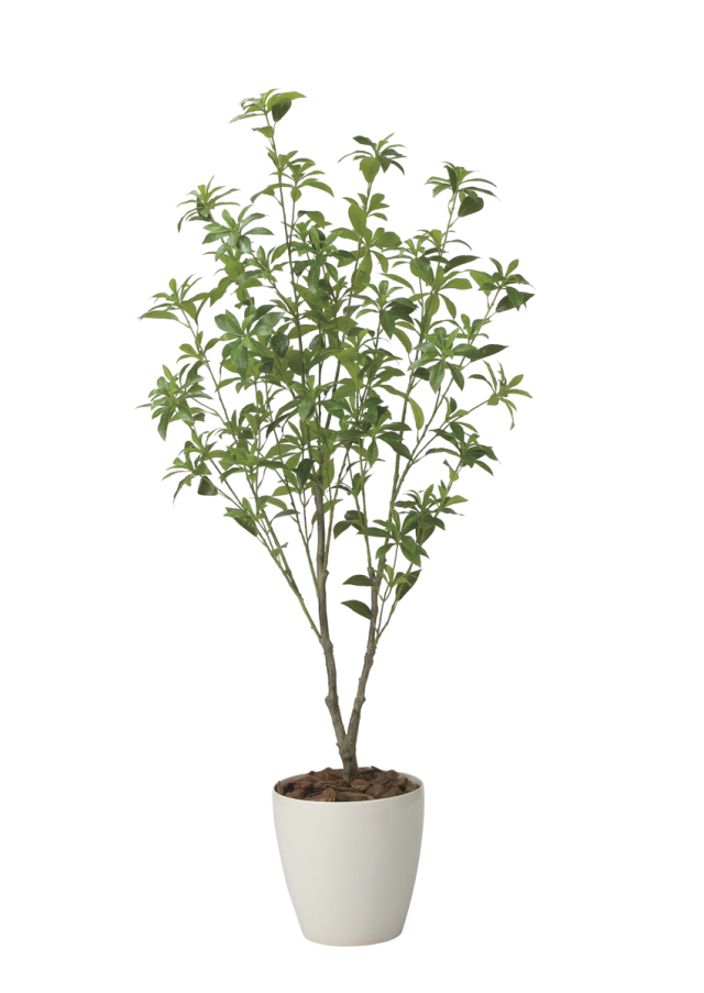 光触媒 光の楽園 ウッドボックスウンベラータ1.8m【インテリア