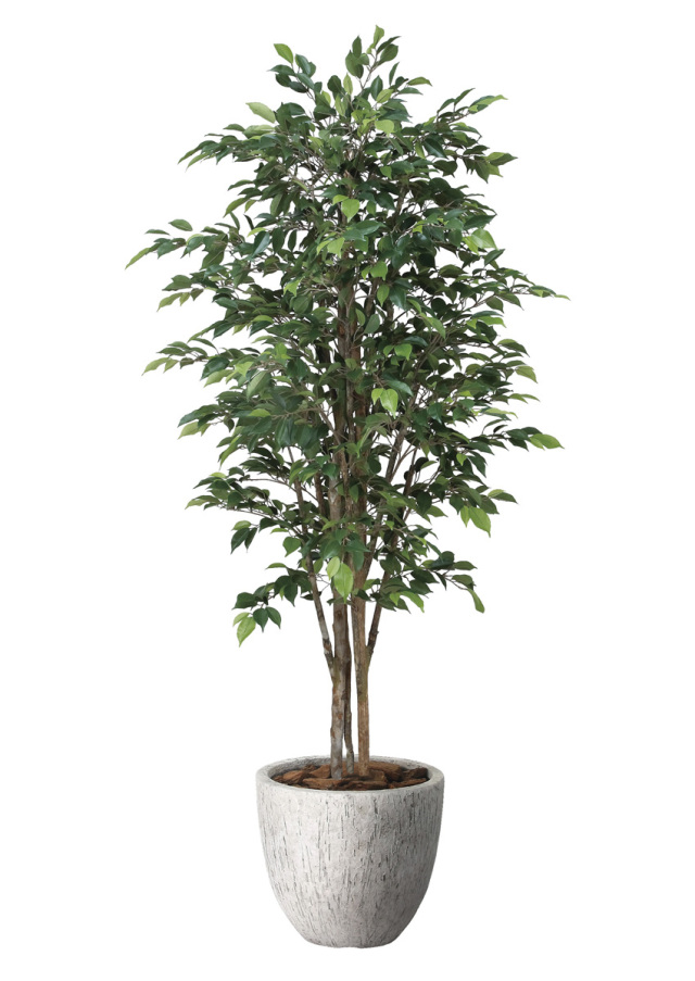 光触媒 光の楽園 アーバンゴールデンリーフ1.8m【インテリア フェイク