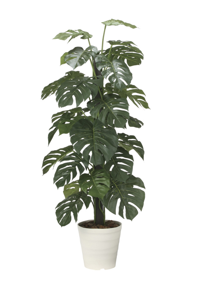 光触媒 光の楽園 ツイストアルテシマ2.1m(組立式)【インテリア