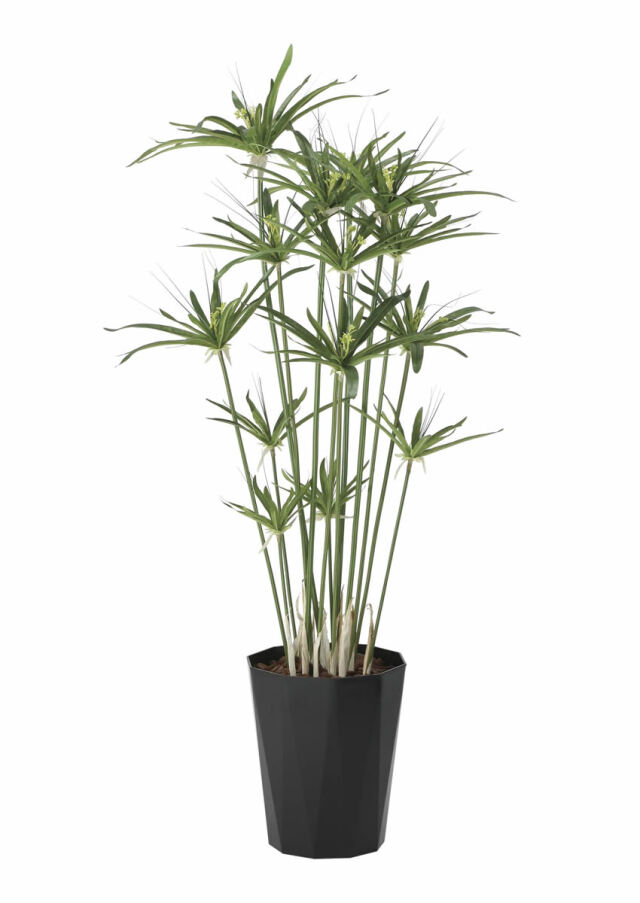 光触媒 光の楽園 ナチュラルフィカスツリー1.5【インテリア フェイク