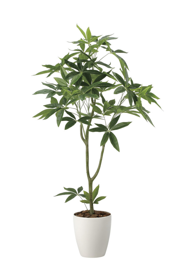 光触媒 光の楽園 ショウナンゴム1.3m【インテリア フェイクグリーン