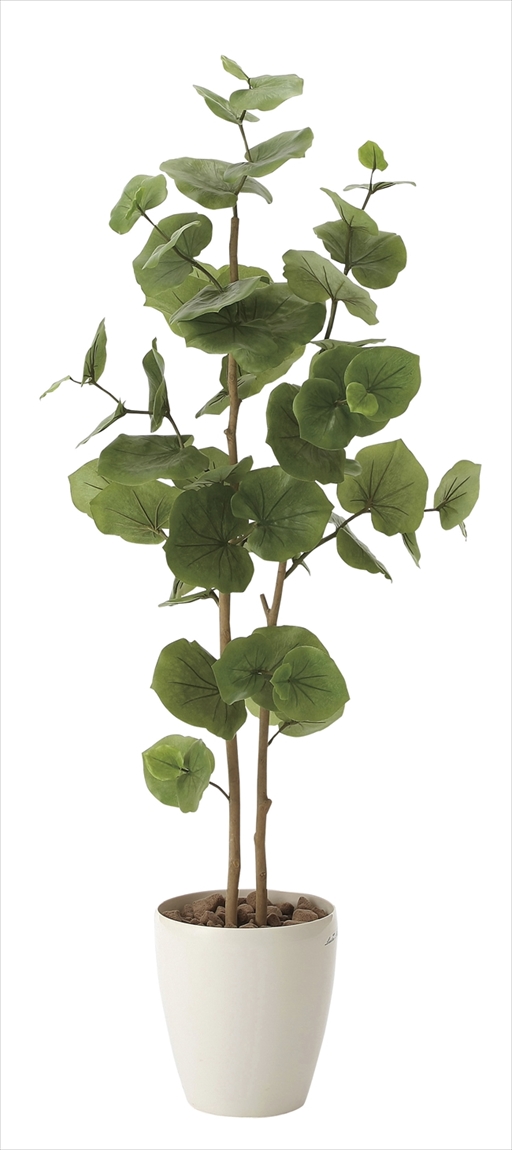 光触媒 光の楽園ベンジャミン 1.0m【インテリア フェイクグリーン 人工