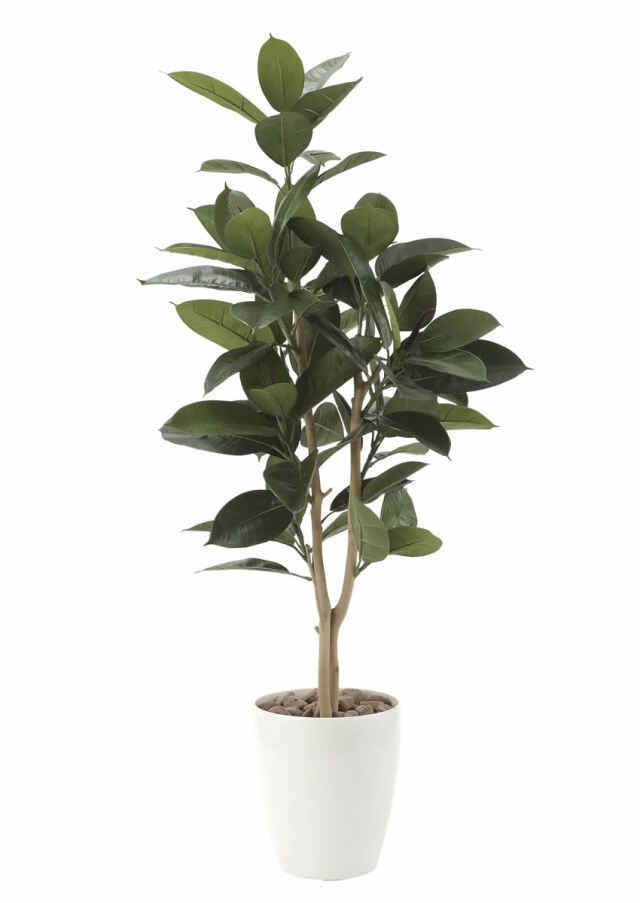 光触媒 光の楽園 ゴムの木1.25m【インテリア フェイクグリーン 人工