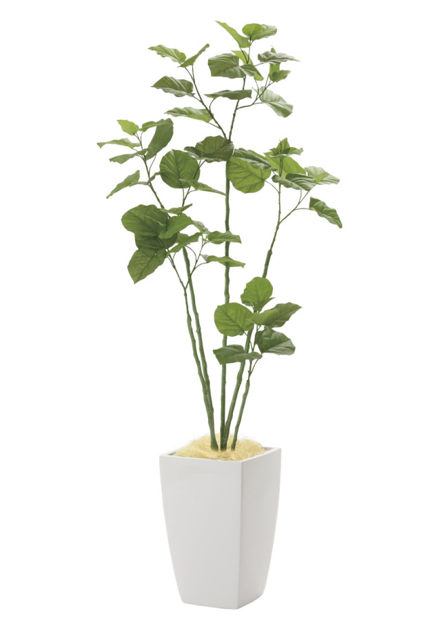 光触媒 人工観葉植物 ウンベラータ【光の楽園】