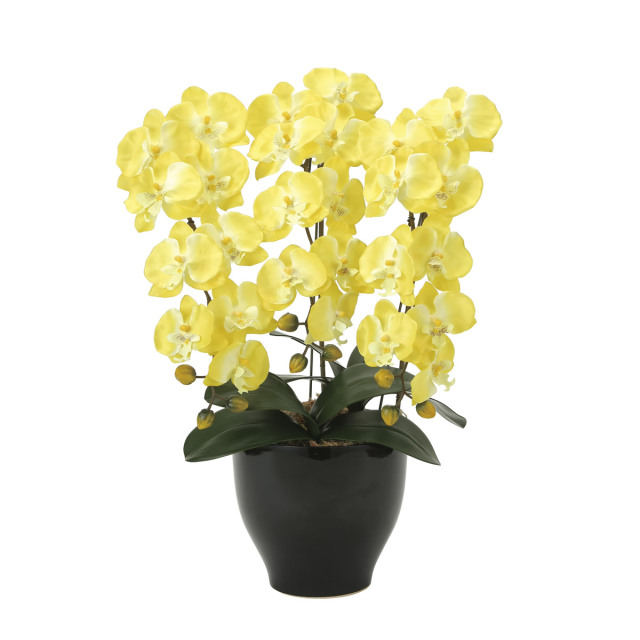 光触媒 光の楽園ロイヤル胡蝶蘭5本立W/AB【アートフラワー 造花