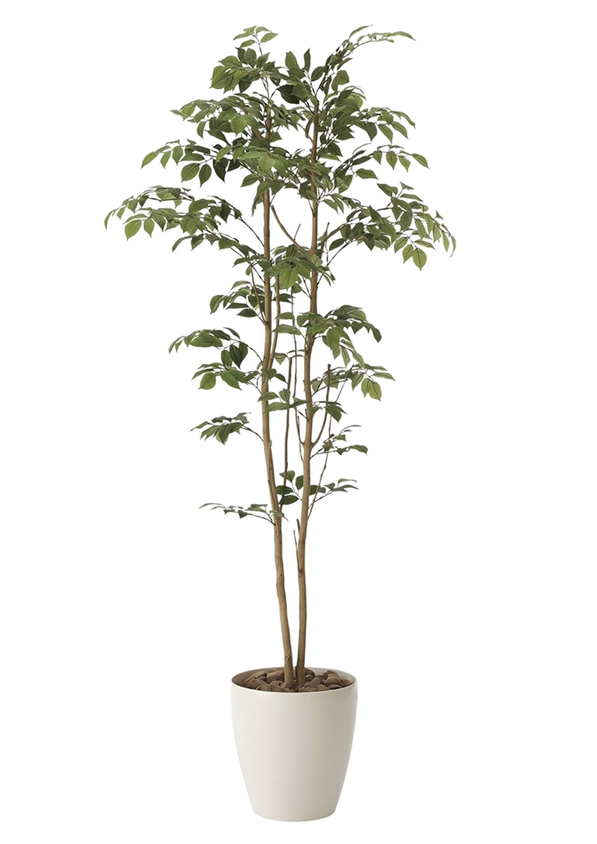 光触媒 光の楽園マウンテンアッシュ 高さ 1.6m【インテリア フェイク