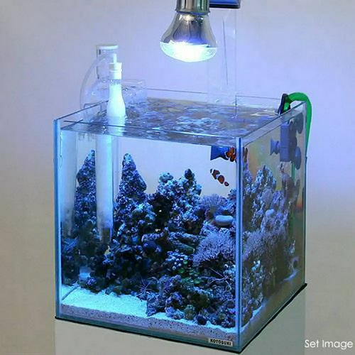 マメデザイン マメスキマー3 (mame skimmer3) プロテインスキマー