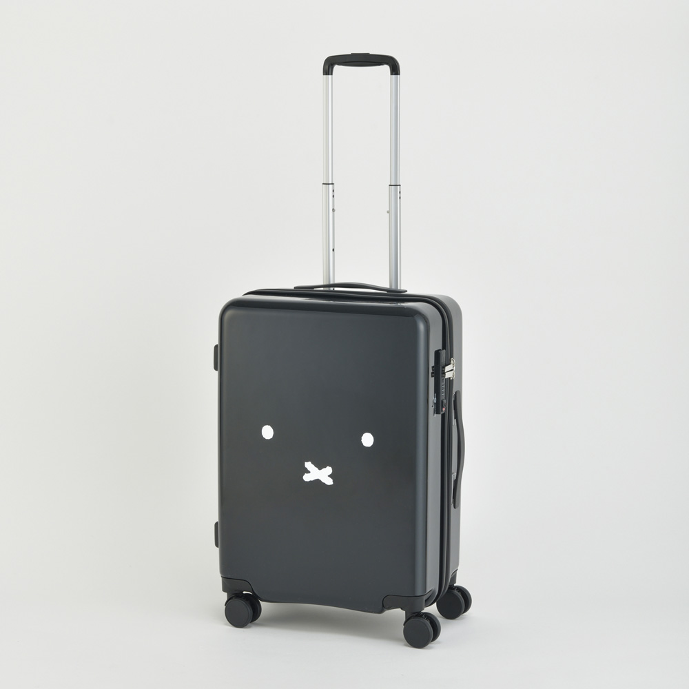 ミッフィーフェイスデザイン Mサイズ ジッパーキャリー | イオン