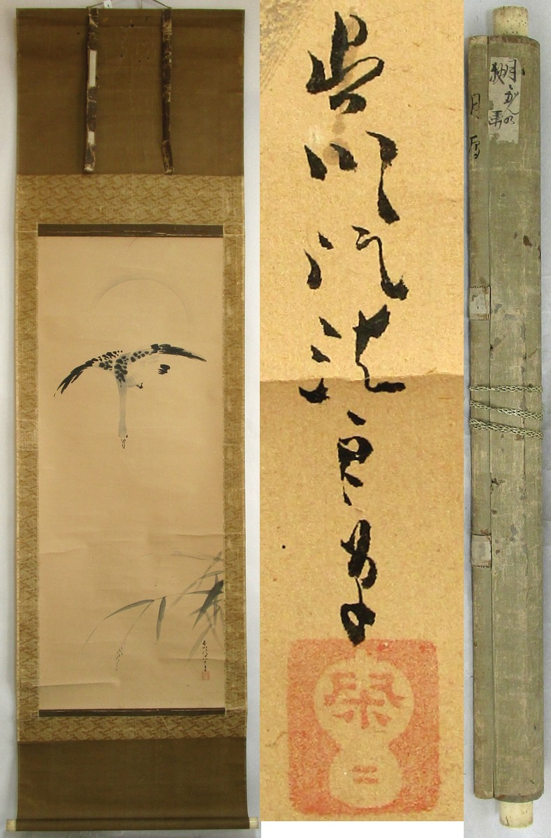 AKa7064 狩野惟信 養川院惟信 養川院法眼 肉筆 掛軸 掛軸 狩野養川院