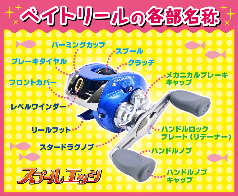 モアザンエキスパート AGS87LML スペシャルエディション（限定非売品