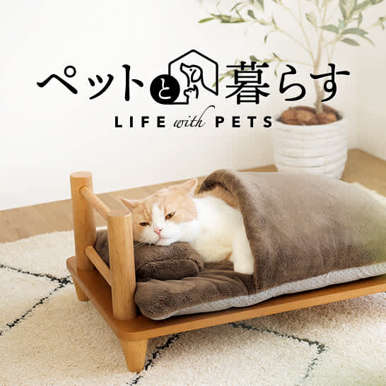 寝返りファインフィット枕 専用枕カバー 通販 - ディノス