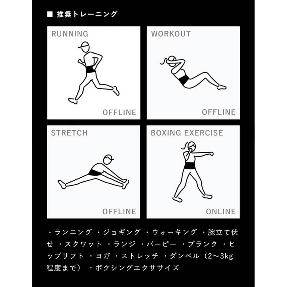 SIXPAD/シックスパッド パワースーツ コアベルト 通販 - ディノス