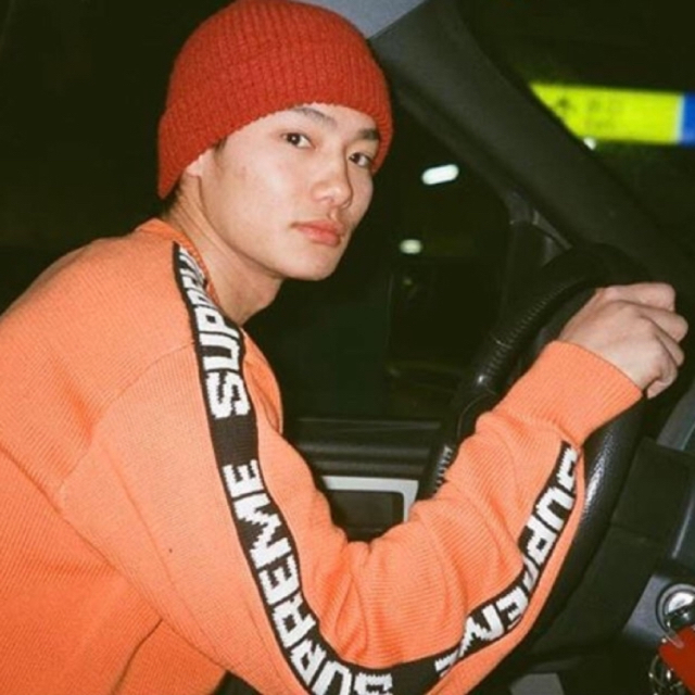 Supreme Stripe Speckle Beanie 野村周平 着用 【公式通販】