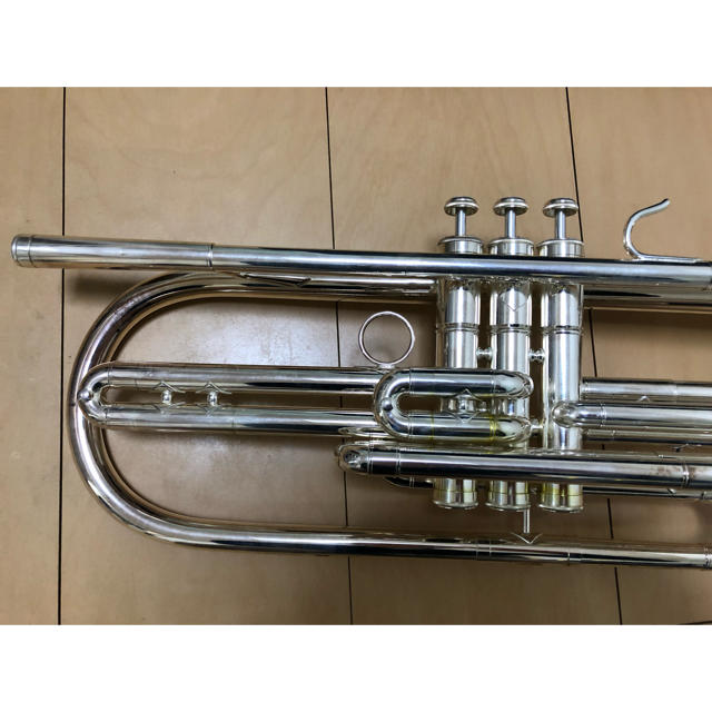 Behning & Sons バストランペット