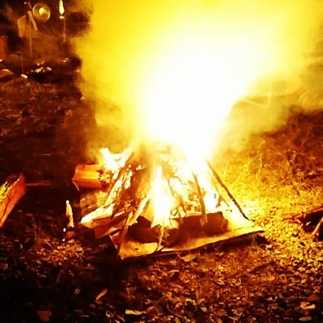 EVISU - ☆様専用heritage 鳥刺繍 赤カモメ刺繍 size 40の通販 by