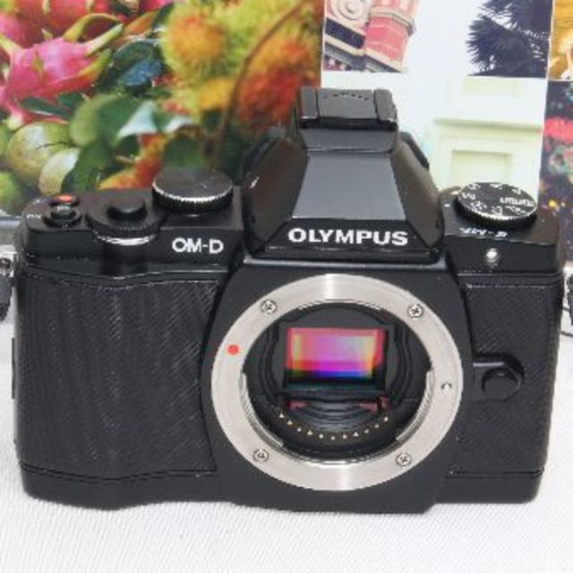 OM-D ❤️超望遠レンズ&予備バッテリー付き❤️オリンパス OM-D E-M5