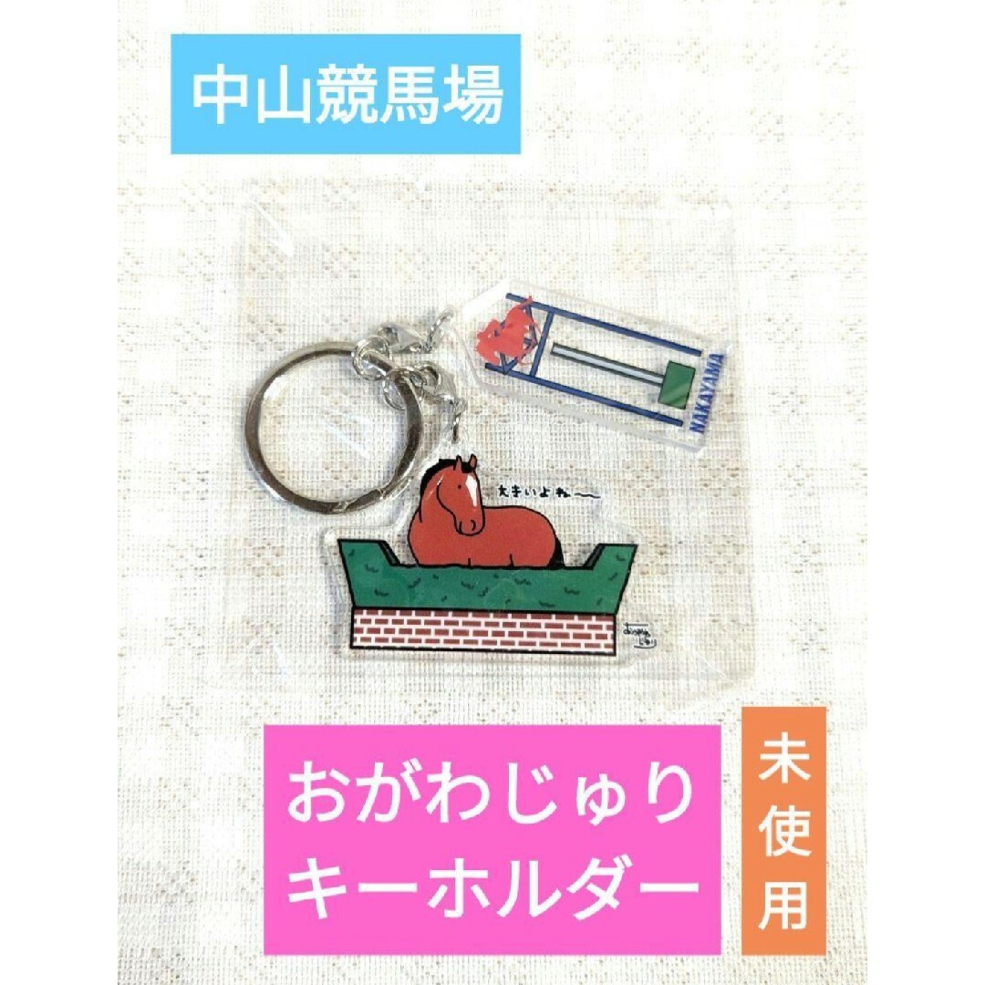 JRA おがわじゅり アクリルキーホルダー 中山競馬場 競走馬 競馬の通販