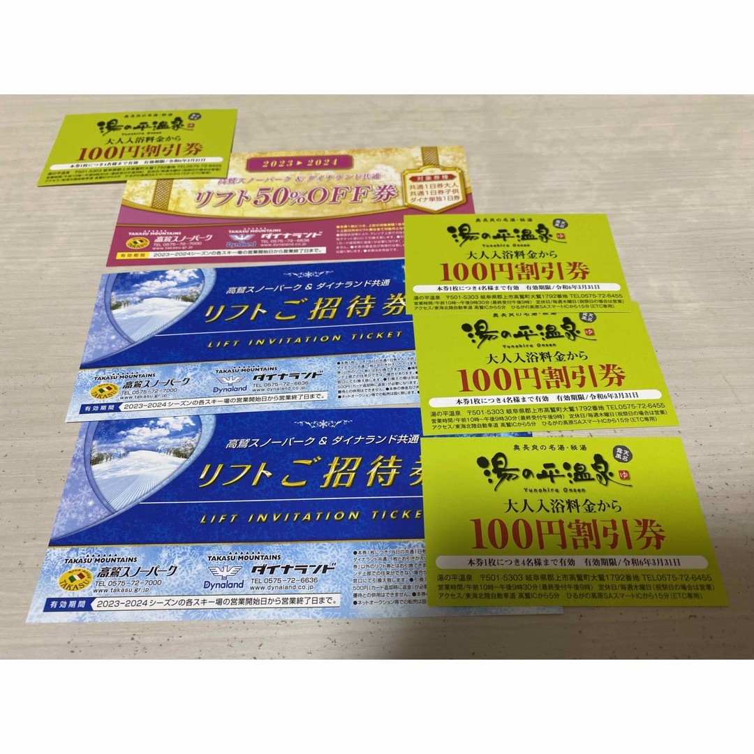 ダイナランド 高鷲スノーパーク 共通リフト券 4枚セット 【公式通販】