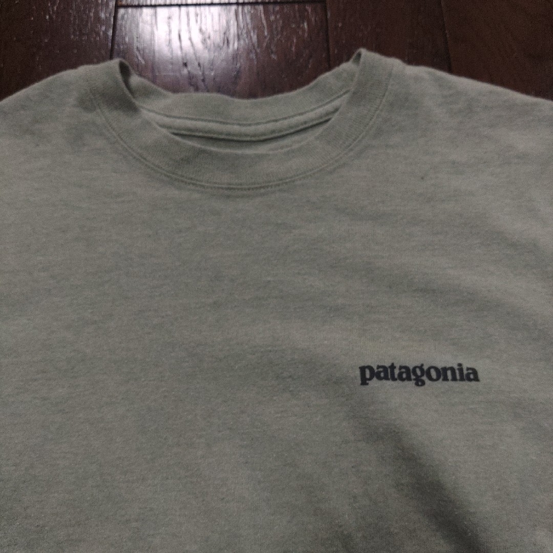 patagonia - patagonia world trout Tシャツ XS トラウト 魚の通販 by