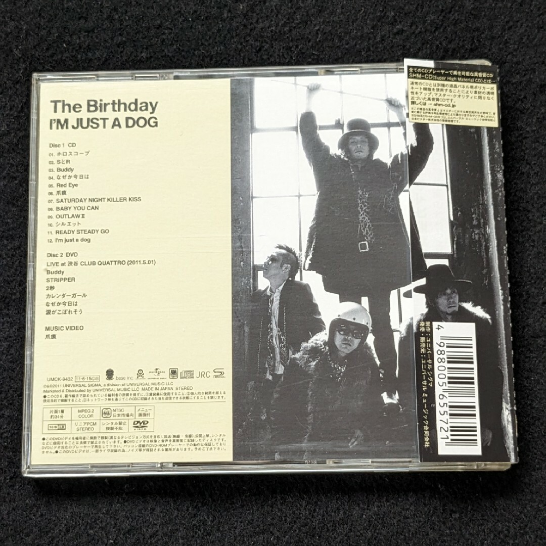 The Birthday 涙がこぼれそう DVD LIVE ライブ チバユウスケの通販 by