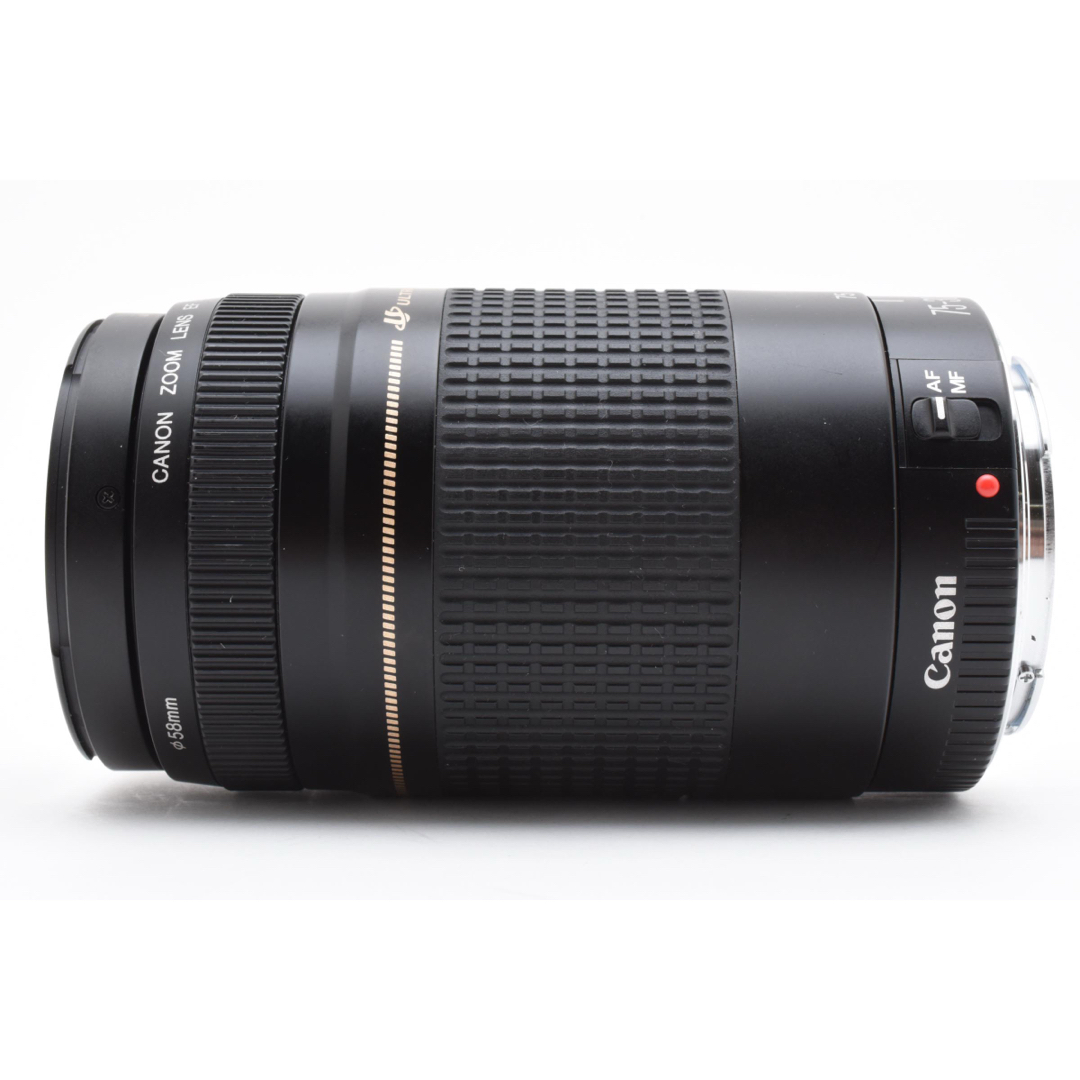 デジタル一眼レフカメラ/人気の望遠レンズ/Canon EF75-300㎜