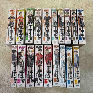 夏目友人帳 全31巻 公式ブック＋小説「夏目友人帳 たまゆらの家」 計33