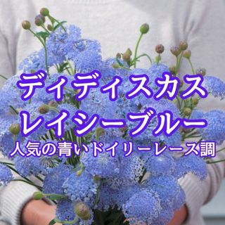 MASSES M&M アルミ 鉢 TYPE2 shade S 新品 マシスの通販 by 燕屋｜ラクマ