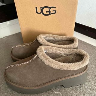 バーネススタイル シューズ＆グローブセット Mサイズ BurnesStyleの