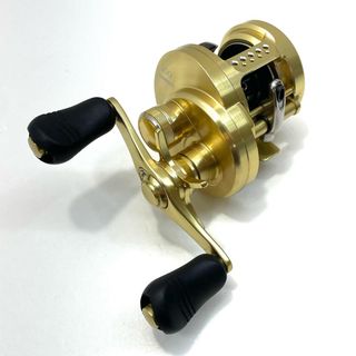 DAIWA - 【生産終了】ダイワ 10 セルテート 2508RH ハイギアカスタム