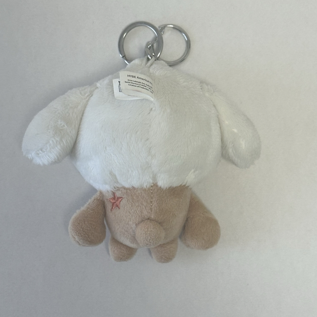 TOMORROW X TOGETHER - TXT BAMGUET KEYRING プルバトゥ バムグッ