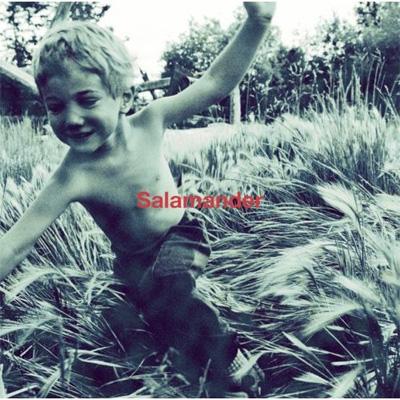 Salamander : ELLEGARDEN | HMV&BOOKS online - ZEDY-1010