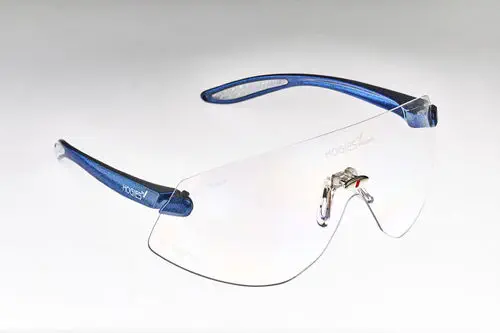 保護眼鏡 - EyeGuard Clear - Hogies
