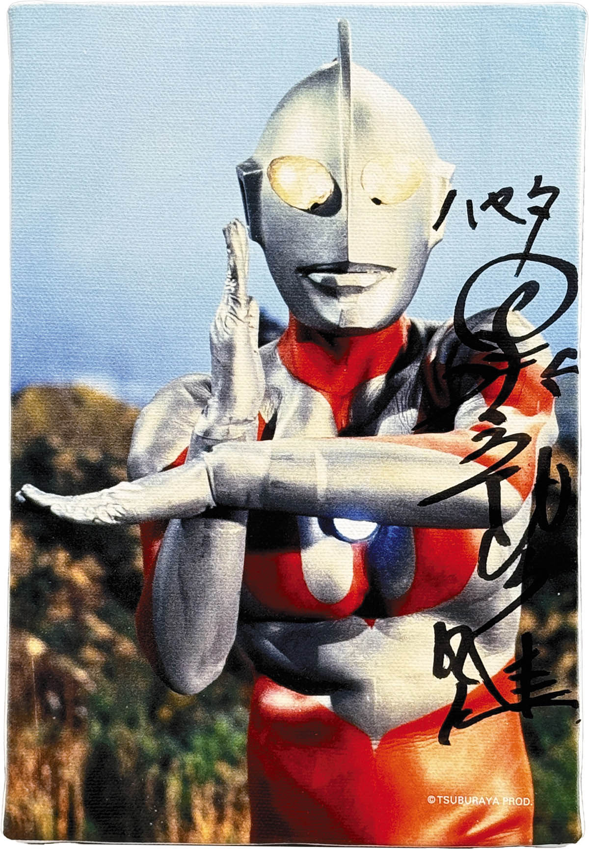 ウルトラマンゼアス 下敷き 直筆サイン入り ウルトラマンゼアス 下敷き