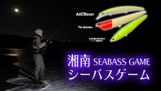 Surfstar / サーフスター ｜PALMS ｜ 株式会社パームス