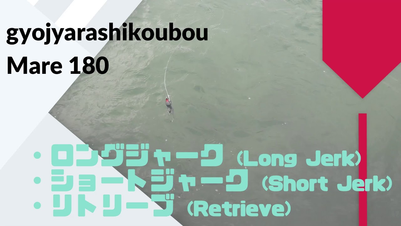 gyojyarashikoubou(魚じゃらし工房) Mare(マレ)180 使用インプレ・評価