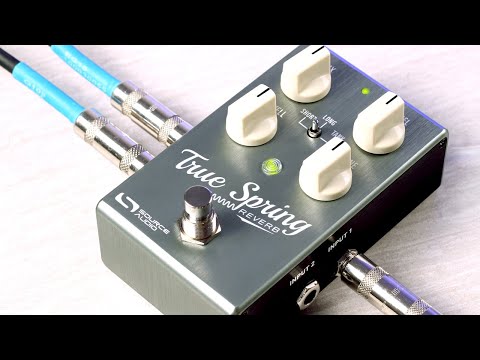 Source Audio TRUE SPRING Reverb | The Pedal Zone
