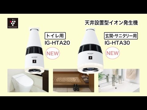 天井設置型イオン発生機 ホワイト系 IG-LTA20-W [適用畳数：1畳 /車載